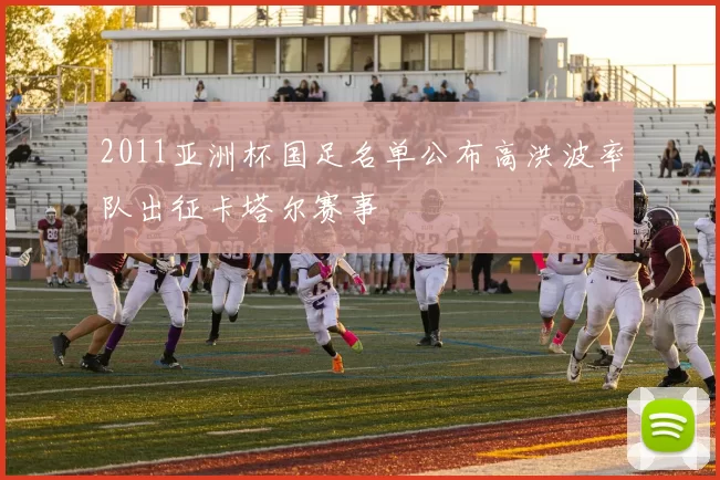 2011亚洲杯国足名单公布高洪波率队出征卡塔尔赛事