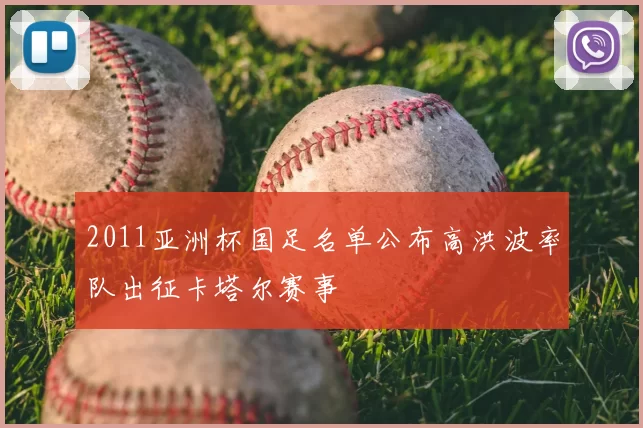 2011亚洲杯国足名单公布高洪波率队出征卡塔尔赛事