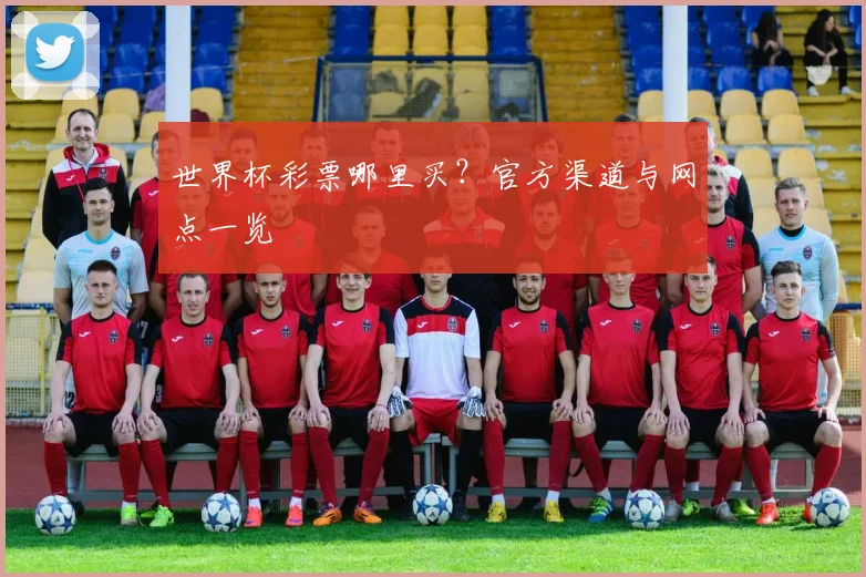 世界杯彩票哪里买?官方渠道与网点一览