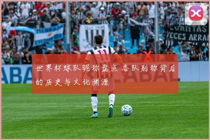 世界杯球队昵称盘点 各队别称背后的历史与文化渊源
