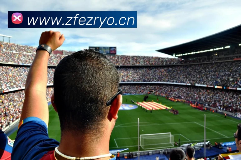 网上世界杯平台生态图