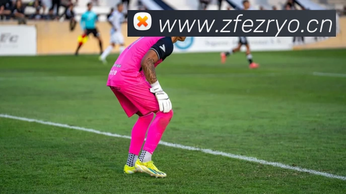 网上世界杯全站App